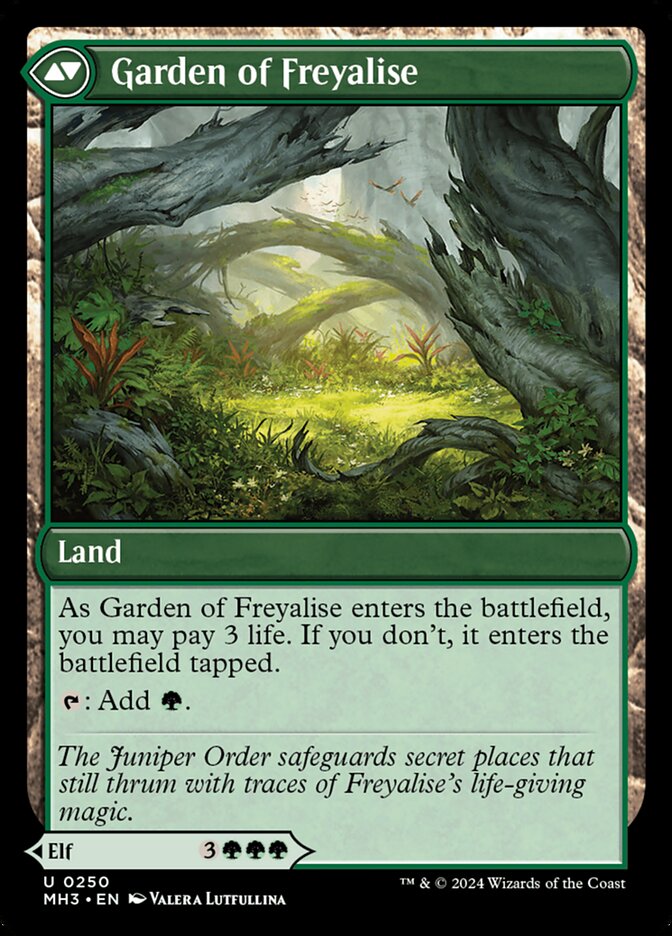 Disciple of Freyalise (Back)