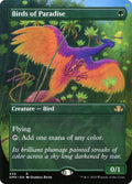 Birds of Paradise — DMR — Near Mint