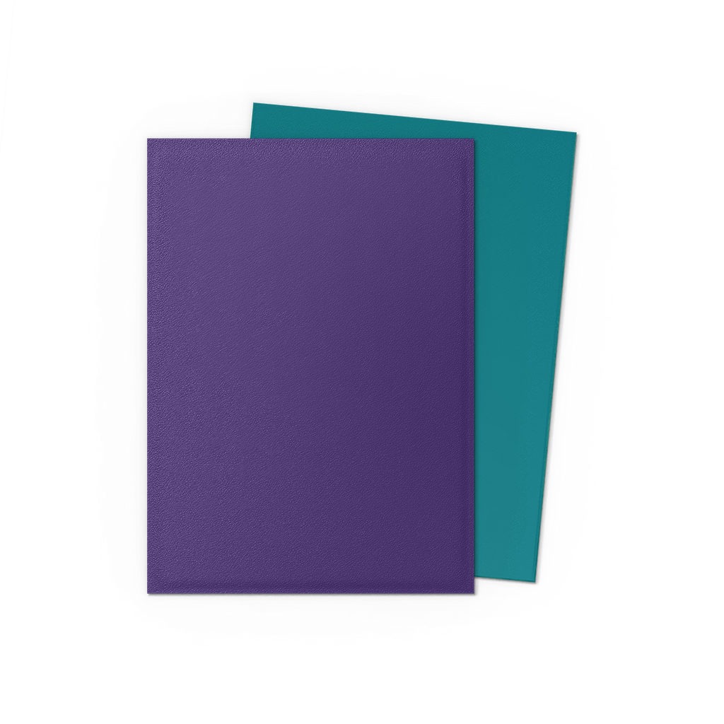 Dragon Shield Sleeves Dual Matte Soul & Petrol (100)