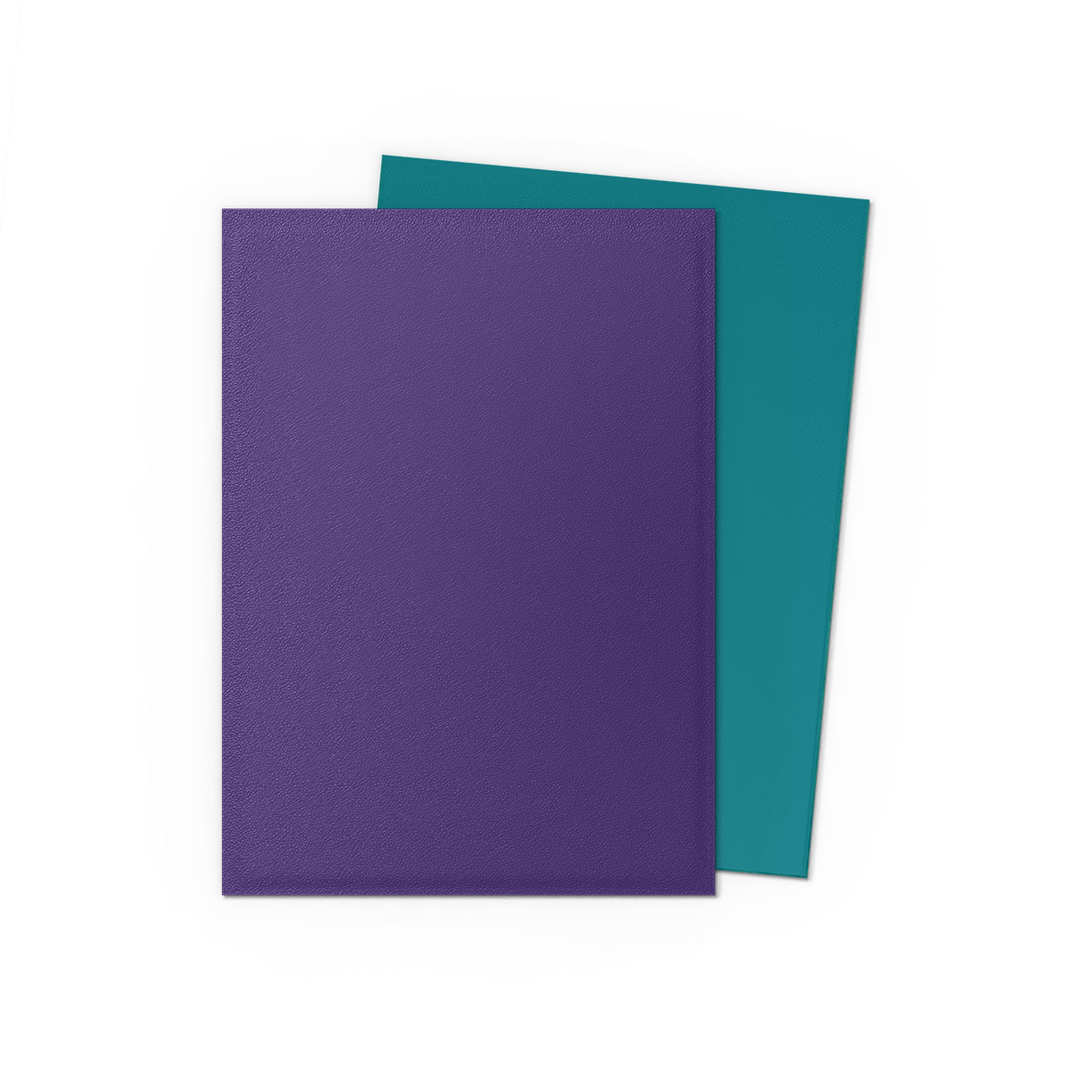Dragon Shield Sleeves Dual Matte Soul & Petrol (100)