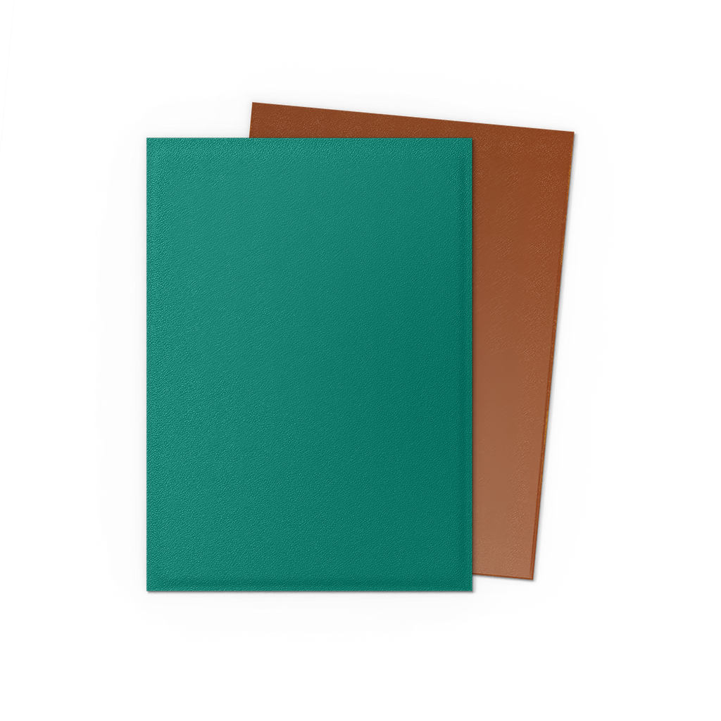 Dragon Shield Sleeves Dual Matte Power & Copper (100)